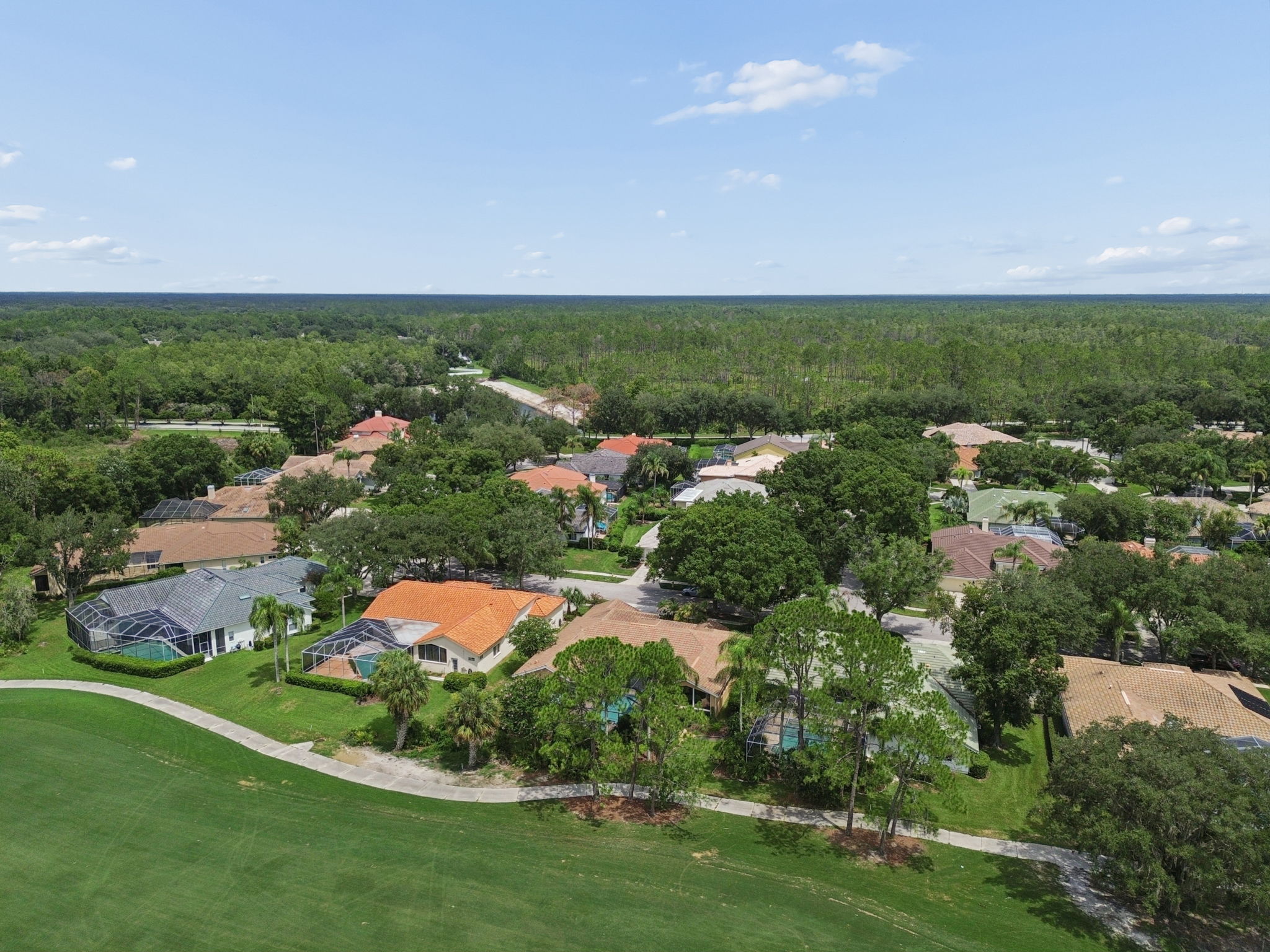DJI_0061