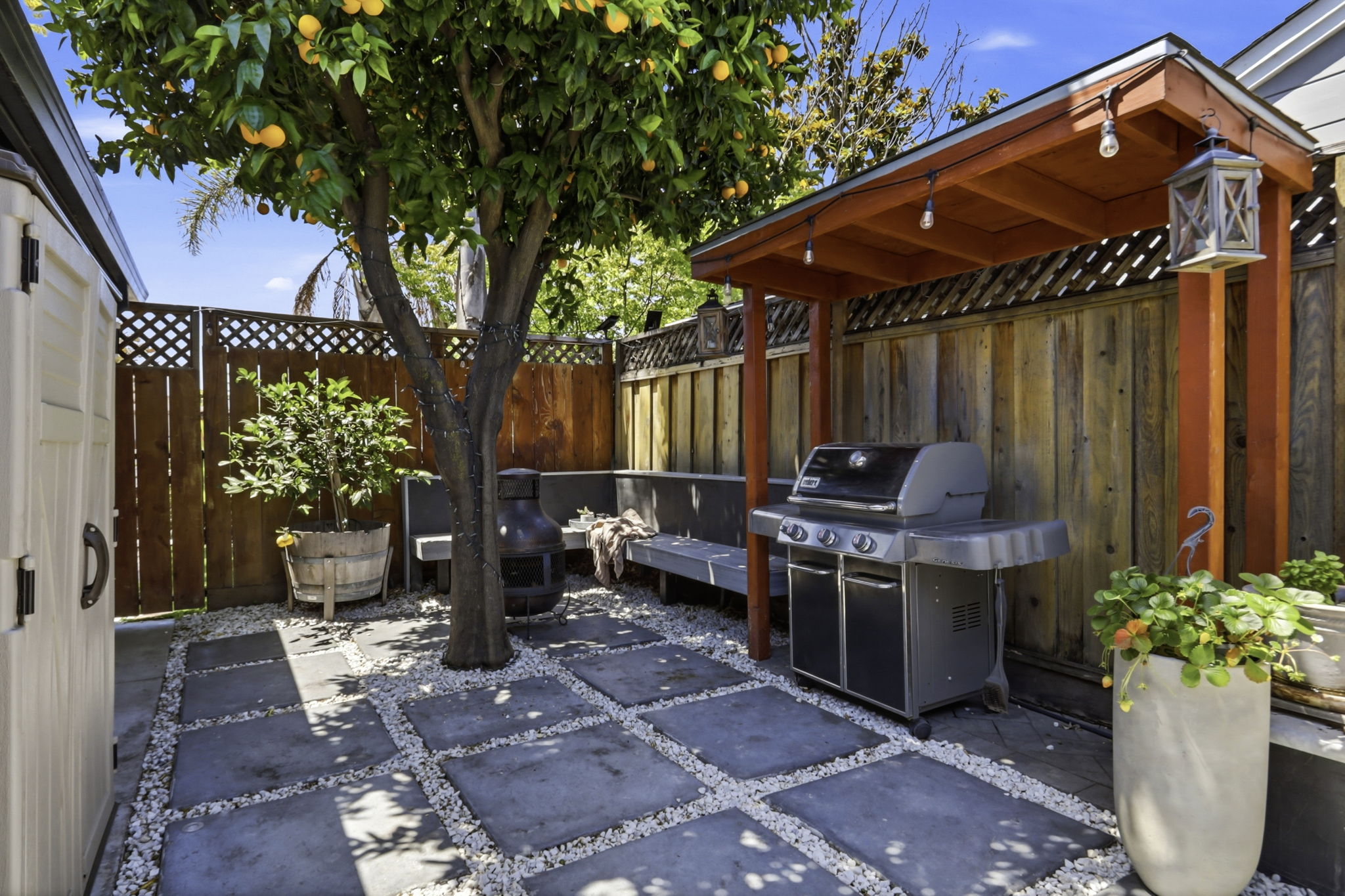 Back Yard