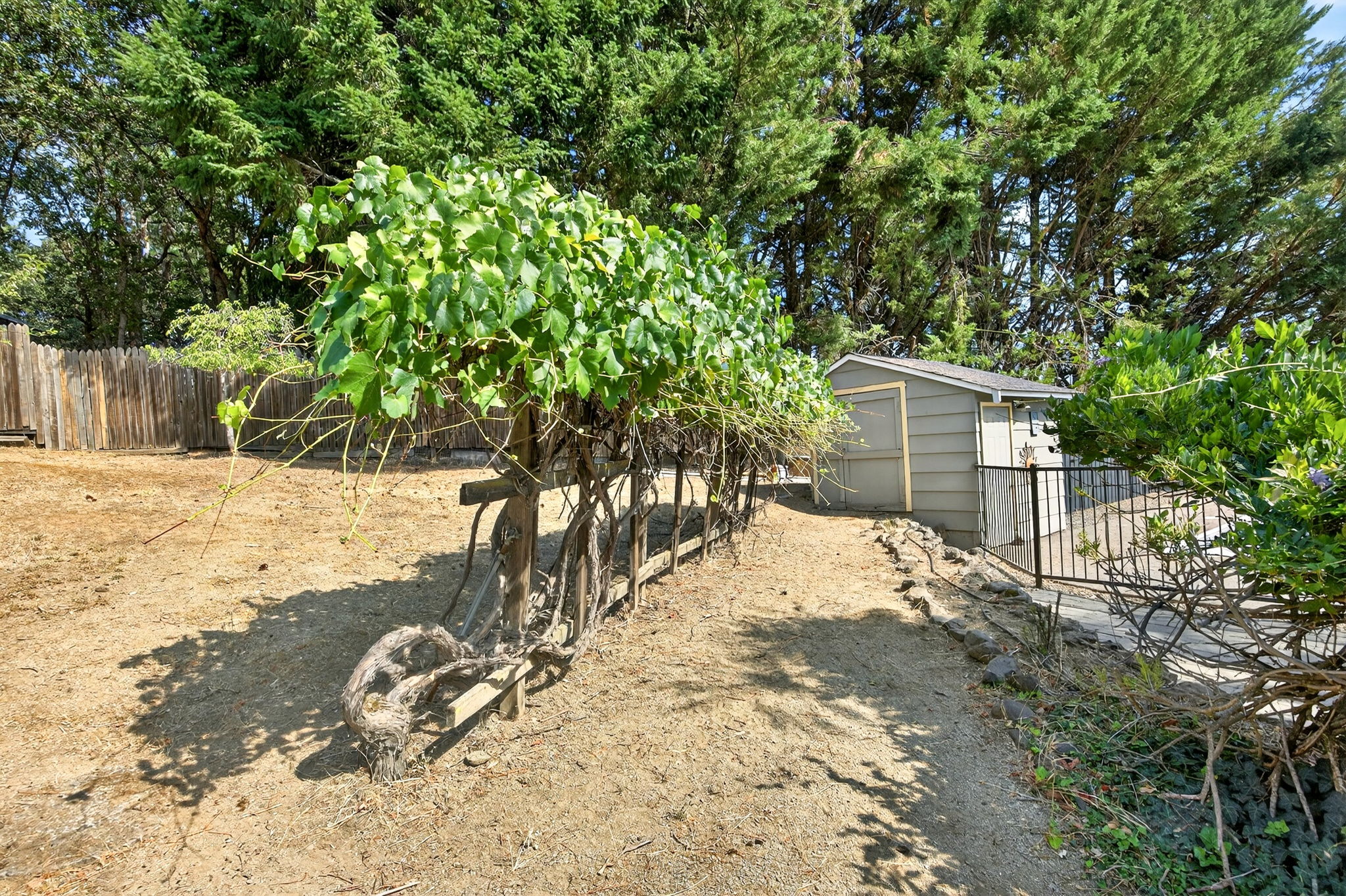  Photo 27