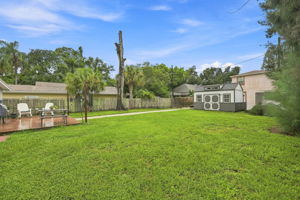 Backyard1-e