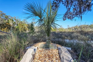 Marsh View