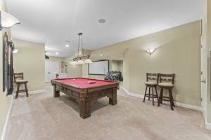 Basement w/ Pool Table & Projector