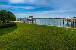 Backyard1-2