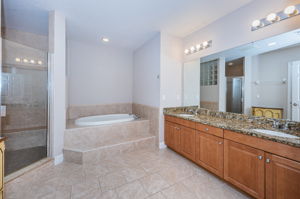 Master Bathroom1a