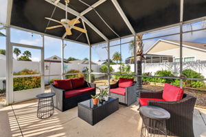 Extended Birdcage