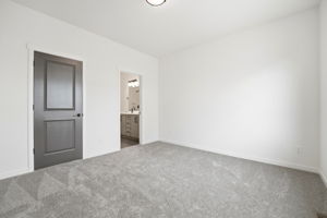 DPB09923