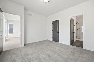 DPB09938
