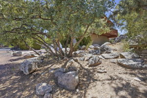 Front Yard.