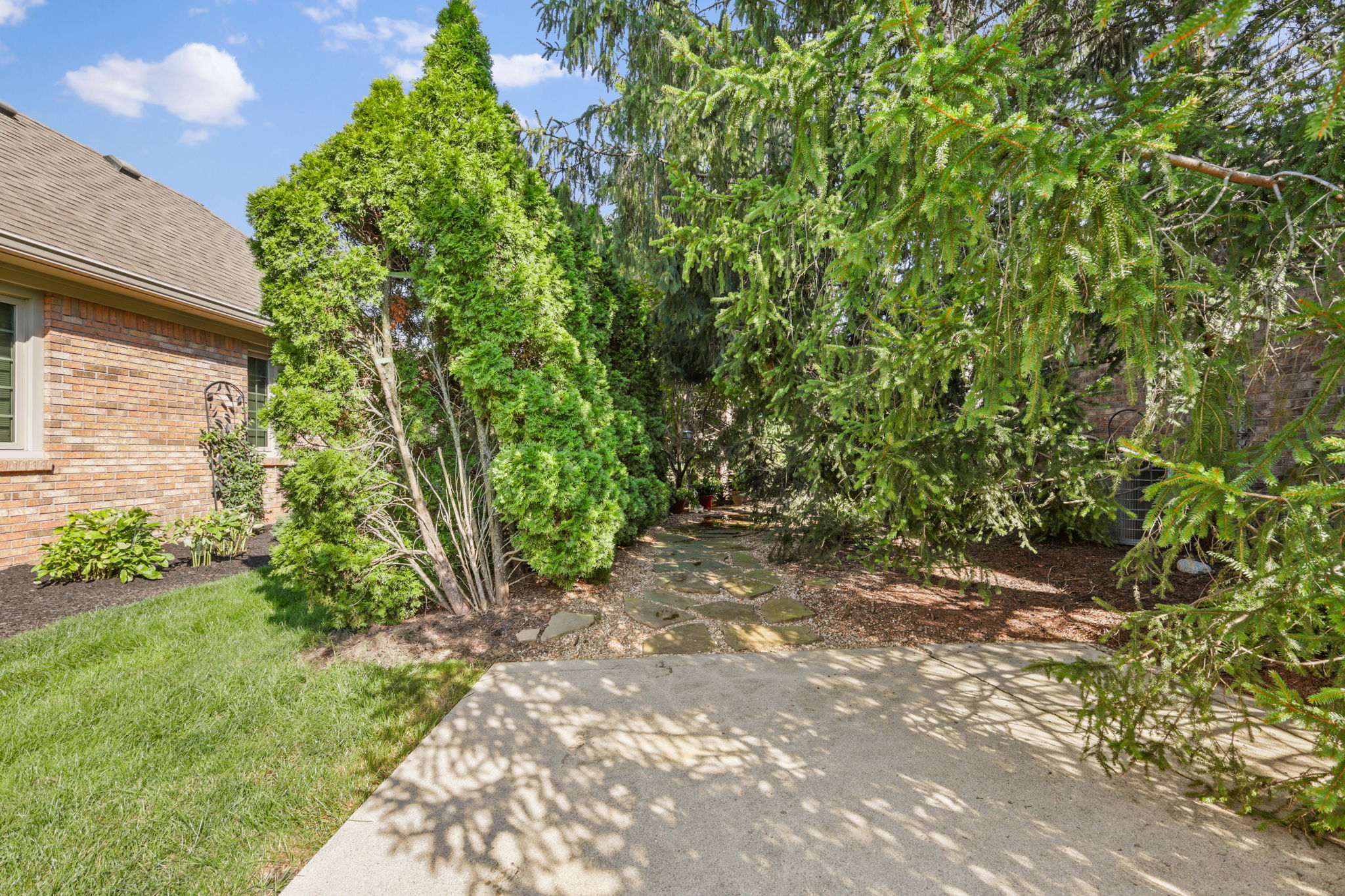  Photo 100