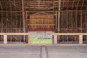  Photo 40