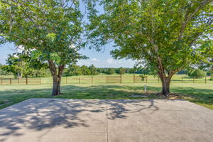  Photo 55