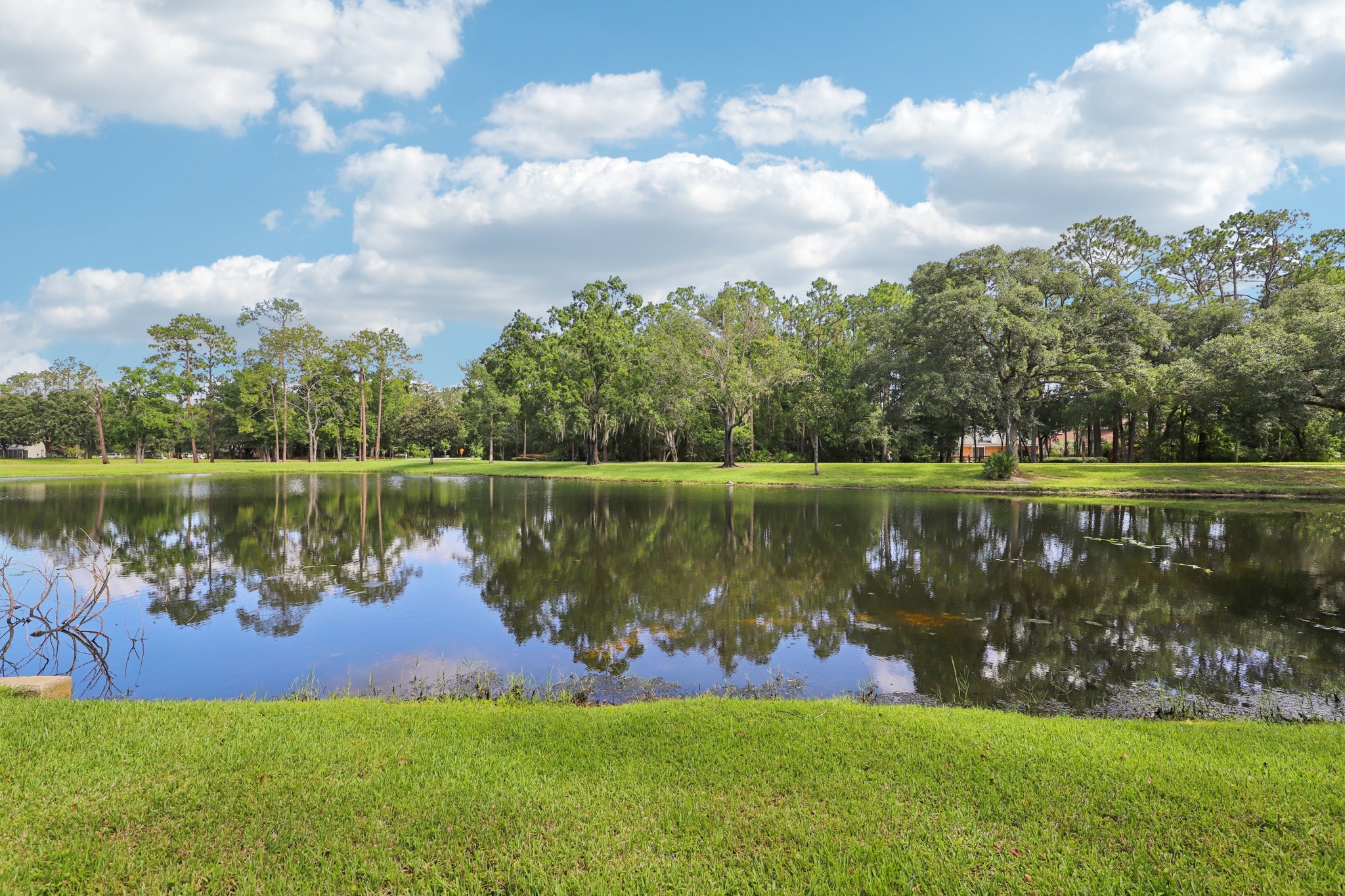 Long Slough Walk-S0207-047.jpg