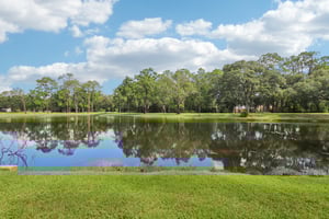 Long Slough Walk-S0207-047.jpg