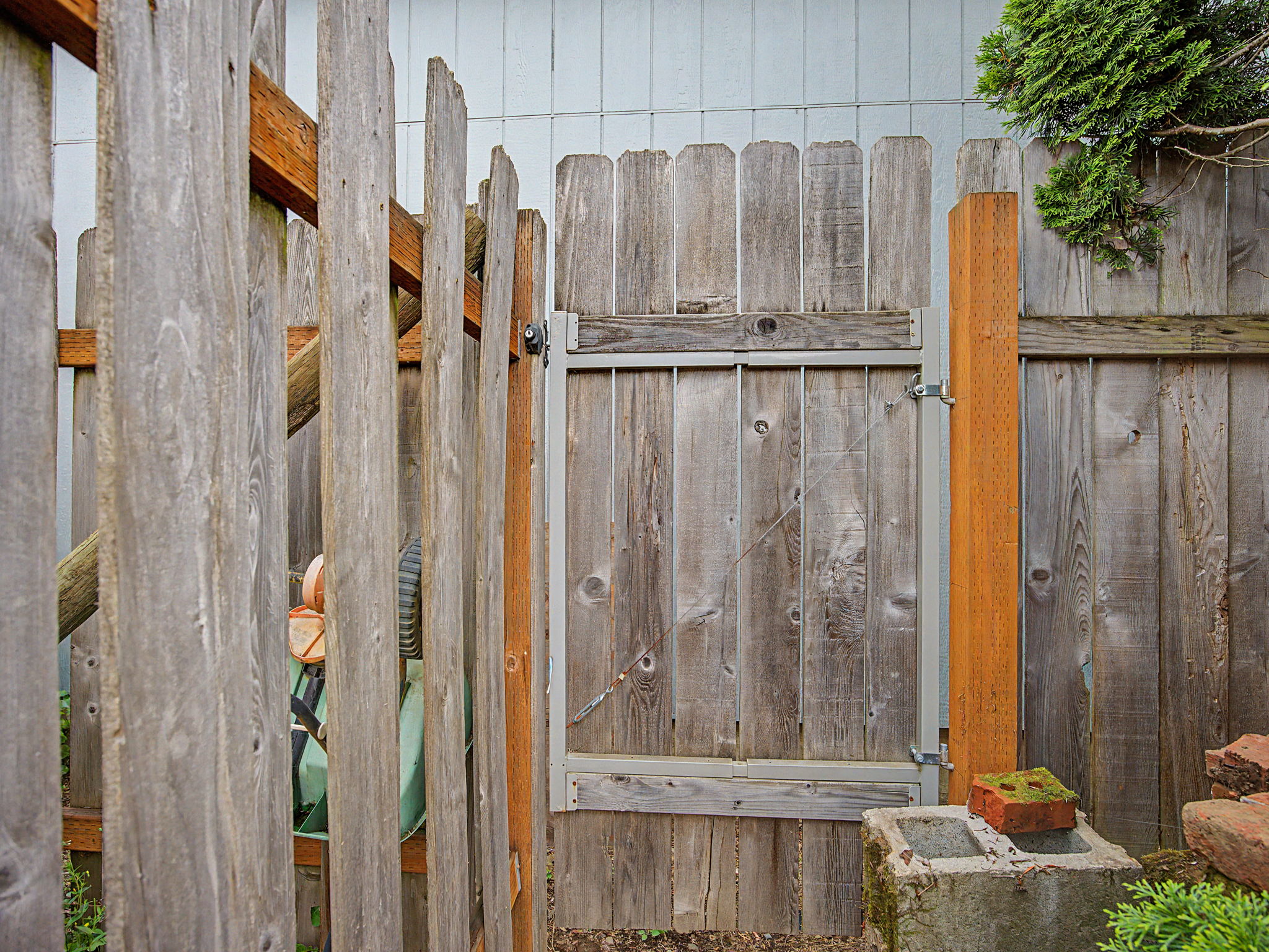  Photo 51