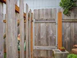  Photo 50