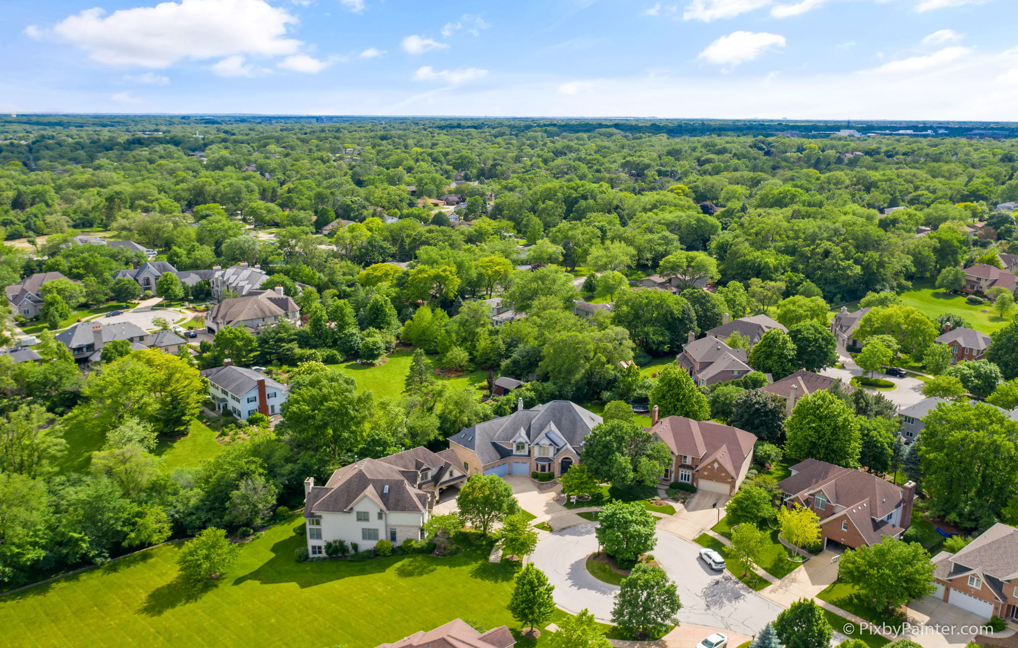 178 Braeburn Ct, Glen Ellyn, IL 60137 Pix by Painter