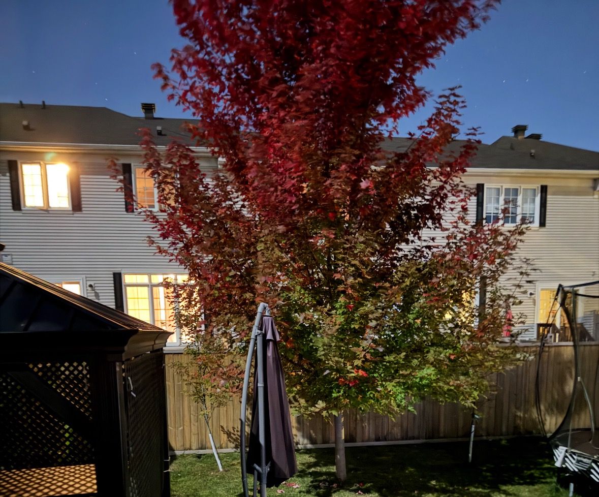  Photo 47
