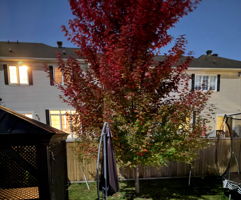  Photo 46