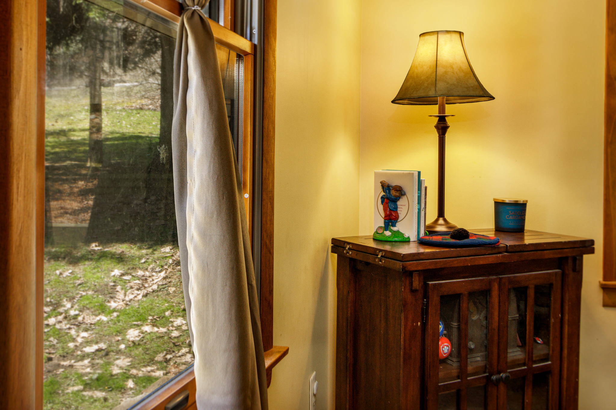 178 Lakeview Dr, Terra Alta, WV 26764, USA Photo 1