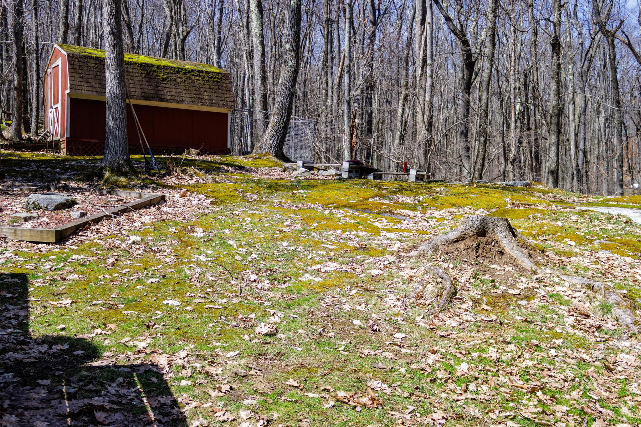 178 Lakeview Dr, Terra Alta, WV 26764, USA Photo 13