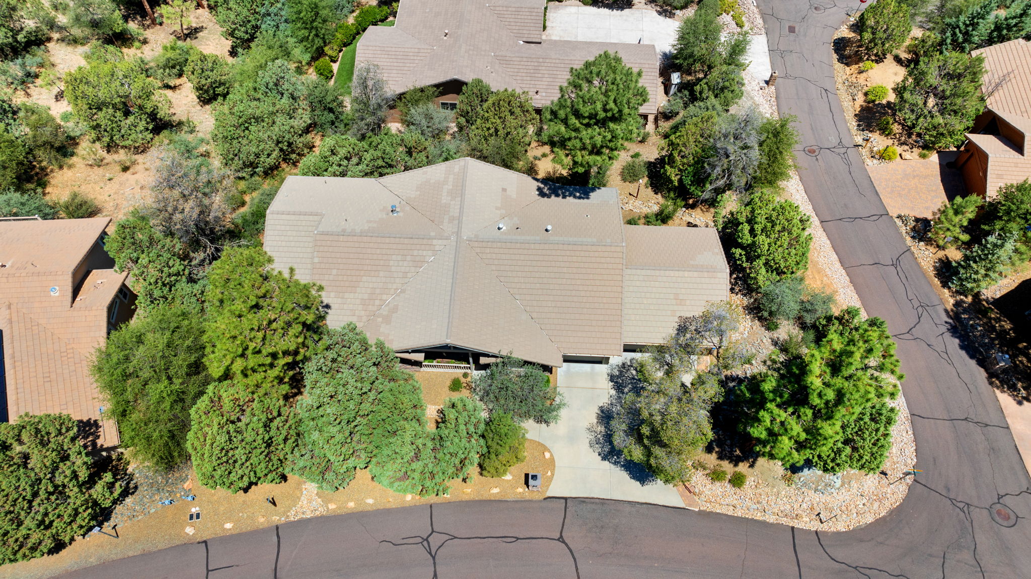 Birds Eye