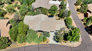 Birds Eye