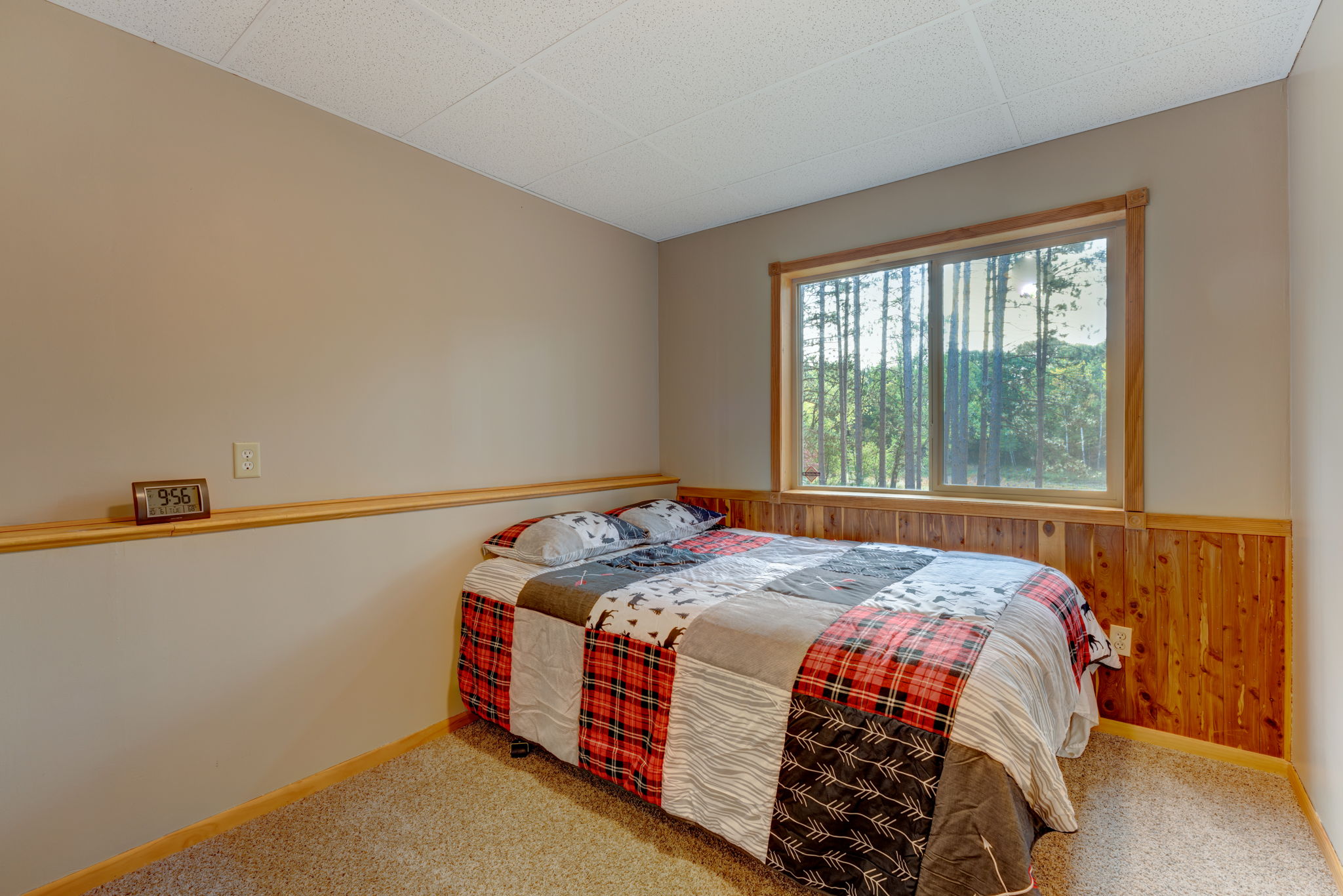 Lower Level - Bedroom