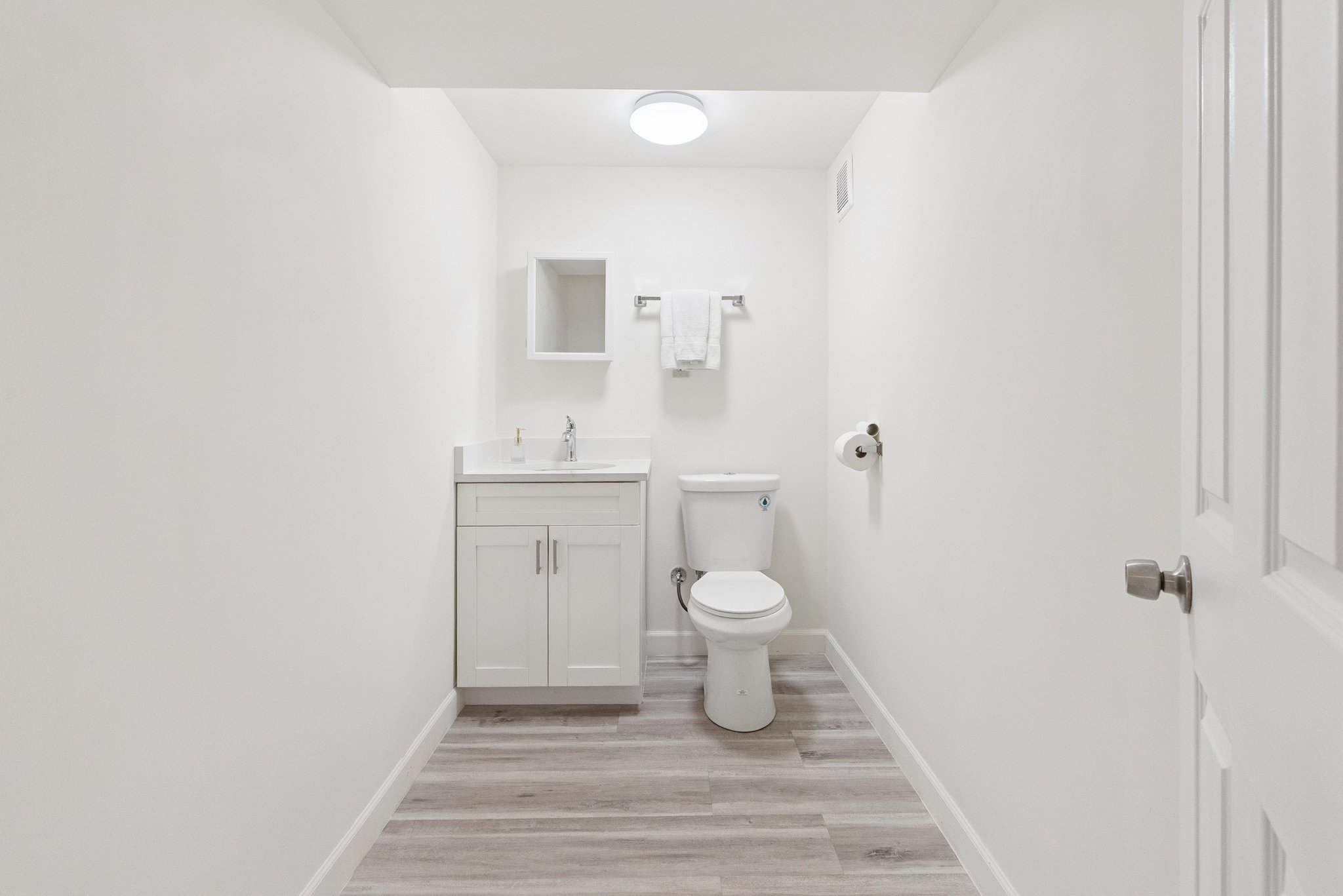 Lower Level  Bathroom