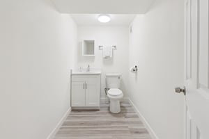 Lower Level  Bathroom