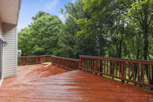 Expansive Deck