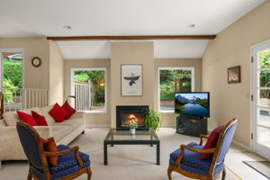 Family Room - Fireplace