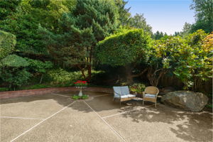 Backyard - Patio
