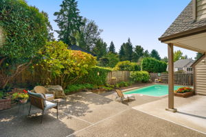 View from Backyard Patio