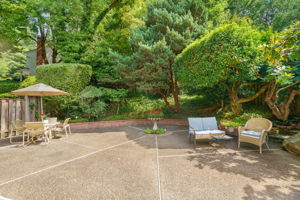 Backyard - Patio