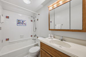 Lower Level Full Bath