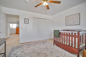 028_17824 Apricot Way