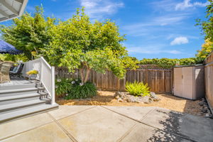 039_17824 Apricot Way