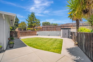 041_17824 Apricot Way