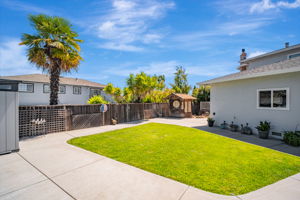 043_17824 Apricot Way