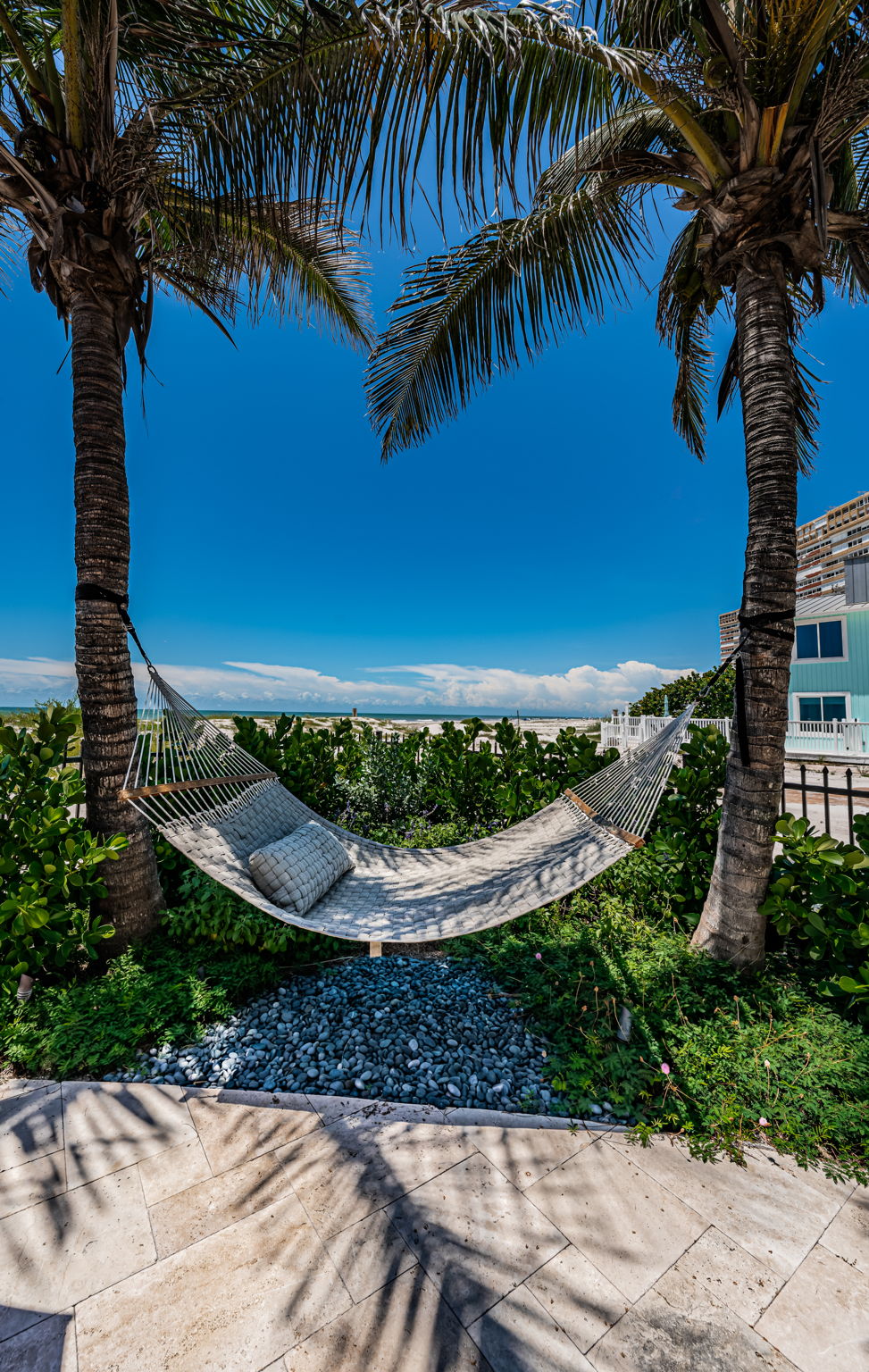 Backyard1