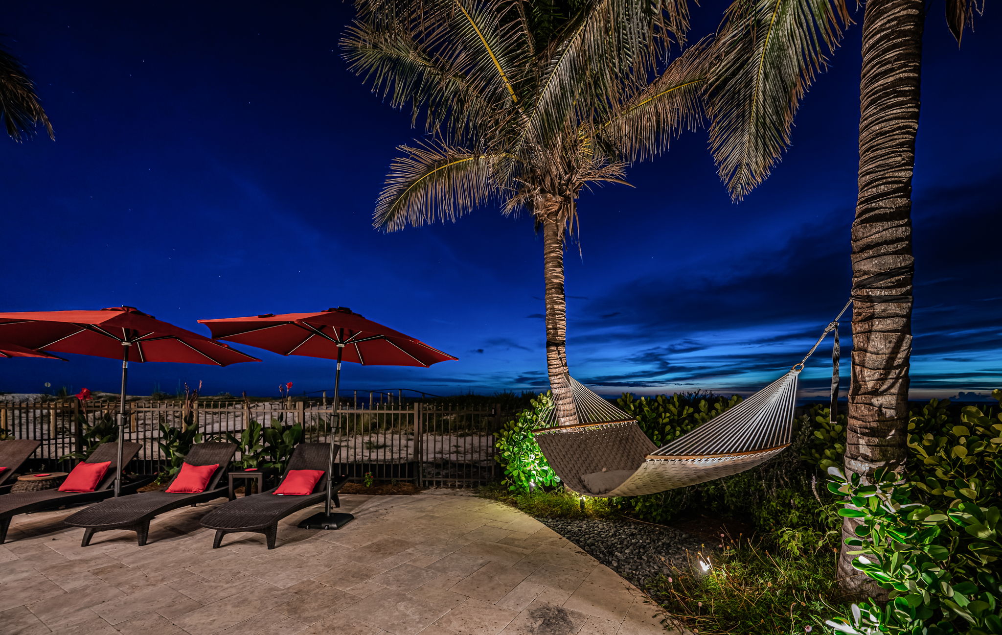 Backyard25