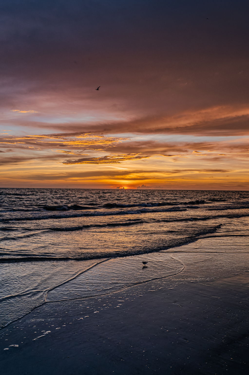 Beach Sunset24