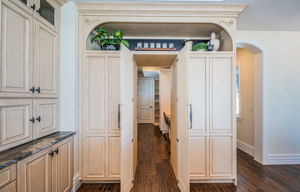 Kitchen Pantry2