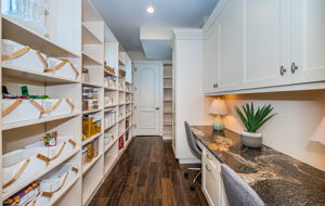 Kitchen Pantry3