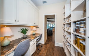 Kitchen Pantry4