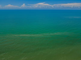 Aerial15