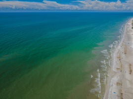 Aerial16