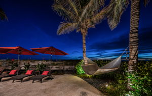 Backyard25