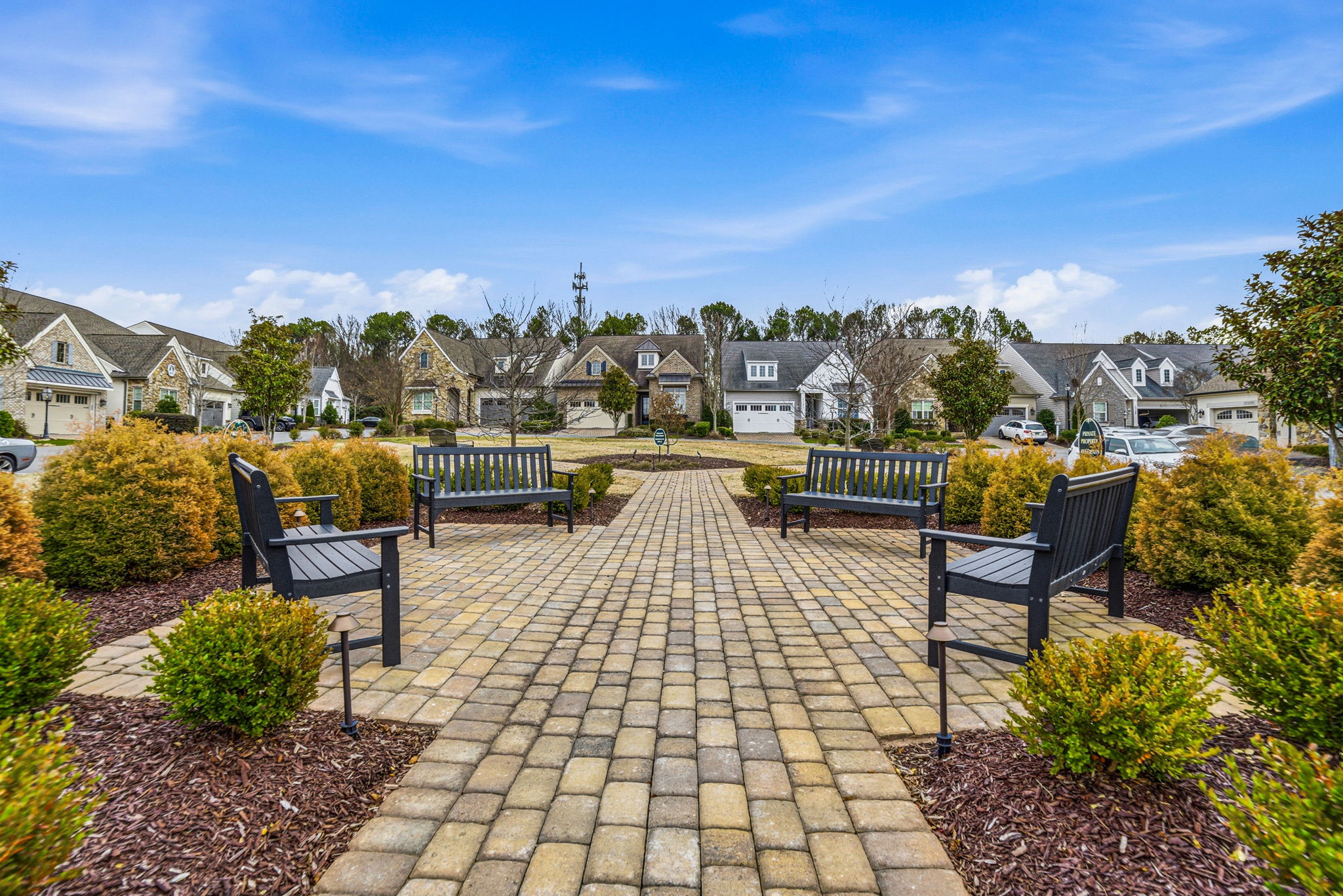 KP_17826 Jetton Green Loop-75