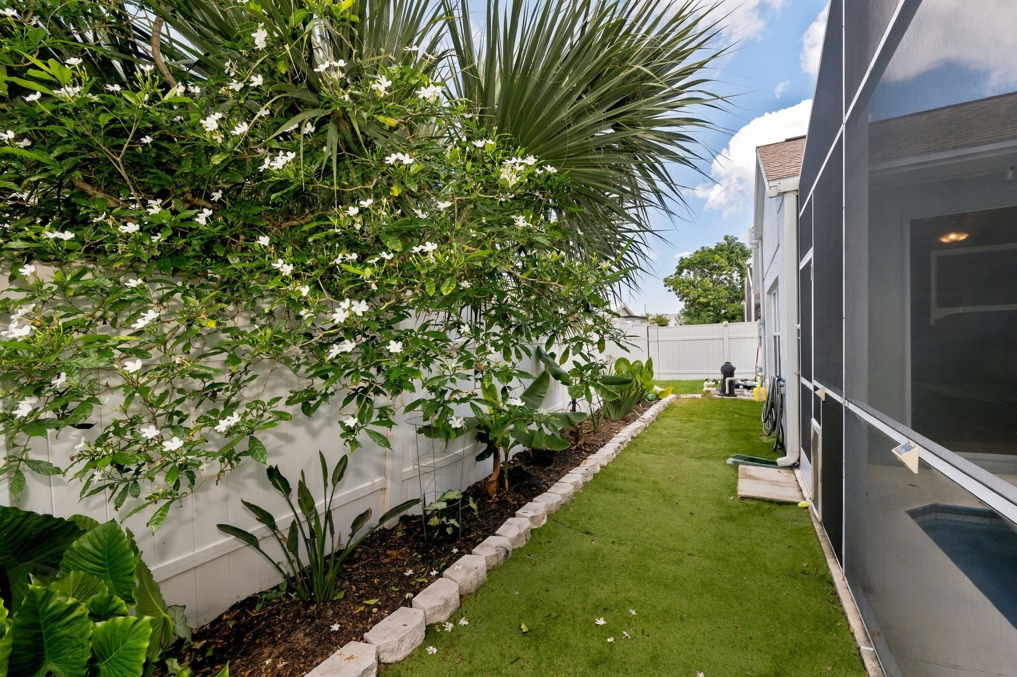 Backyard 2